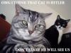 Hitler, the Cat